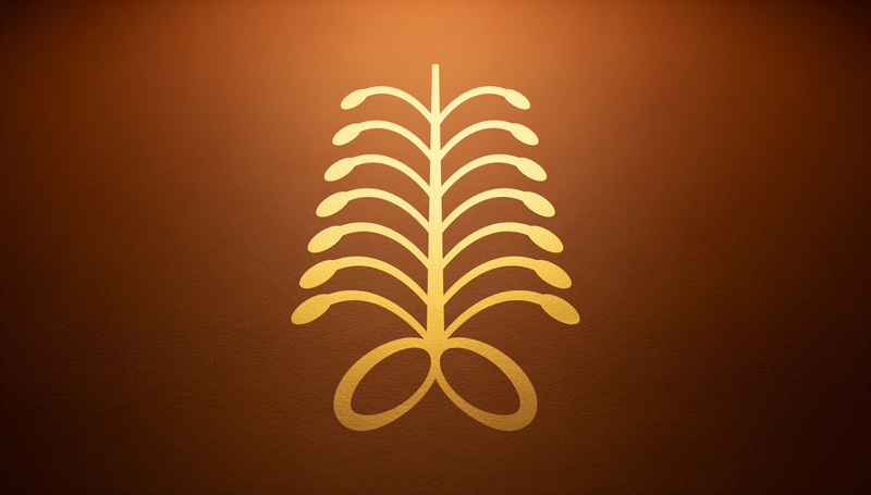 Aya Adinkra symbol — a stylised fern representing endurance, defiance, and the quiet persistence of something that grows where other things cannot