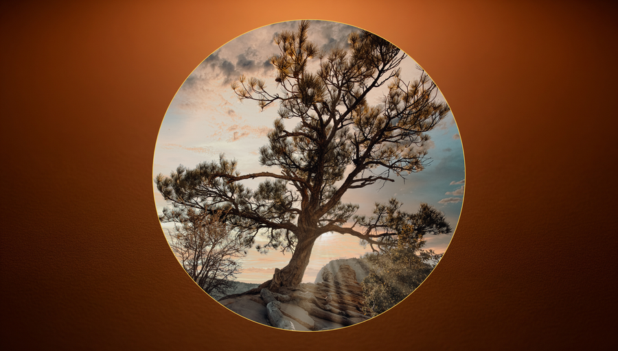 A young tree bending in the wind against an open sky, its roots holding firm in the ground
