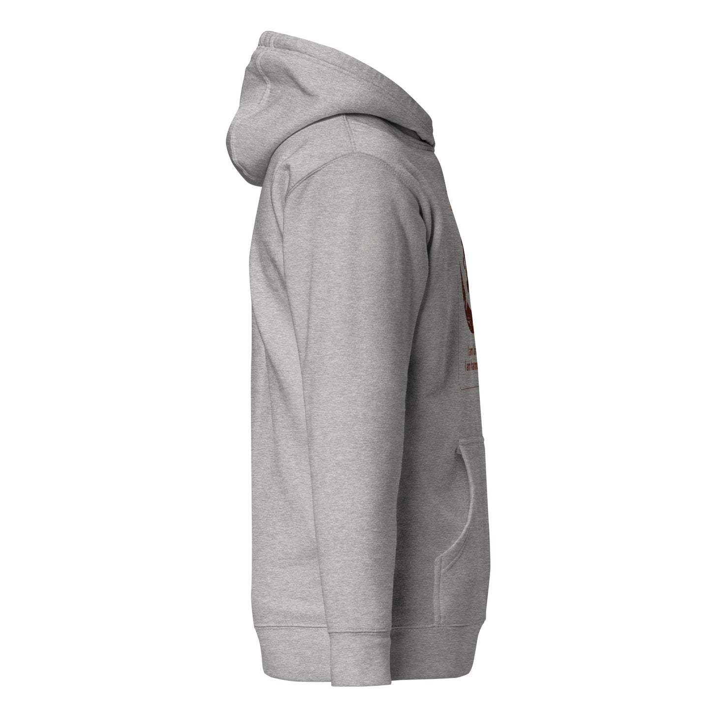 Osram ne nsronomma Hoodie - I am love.