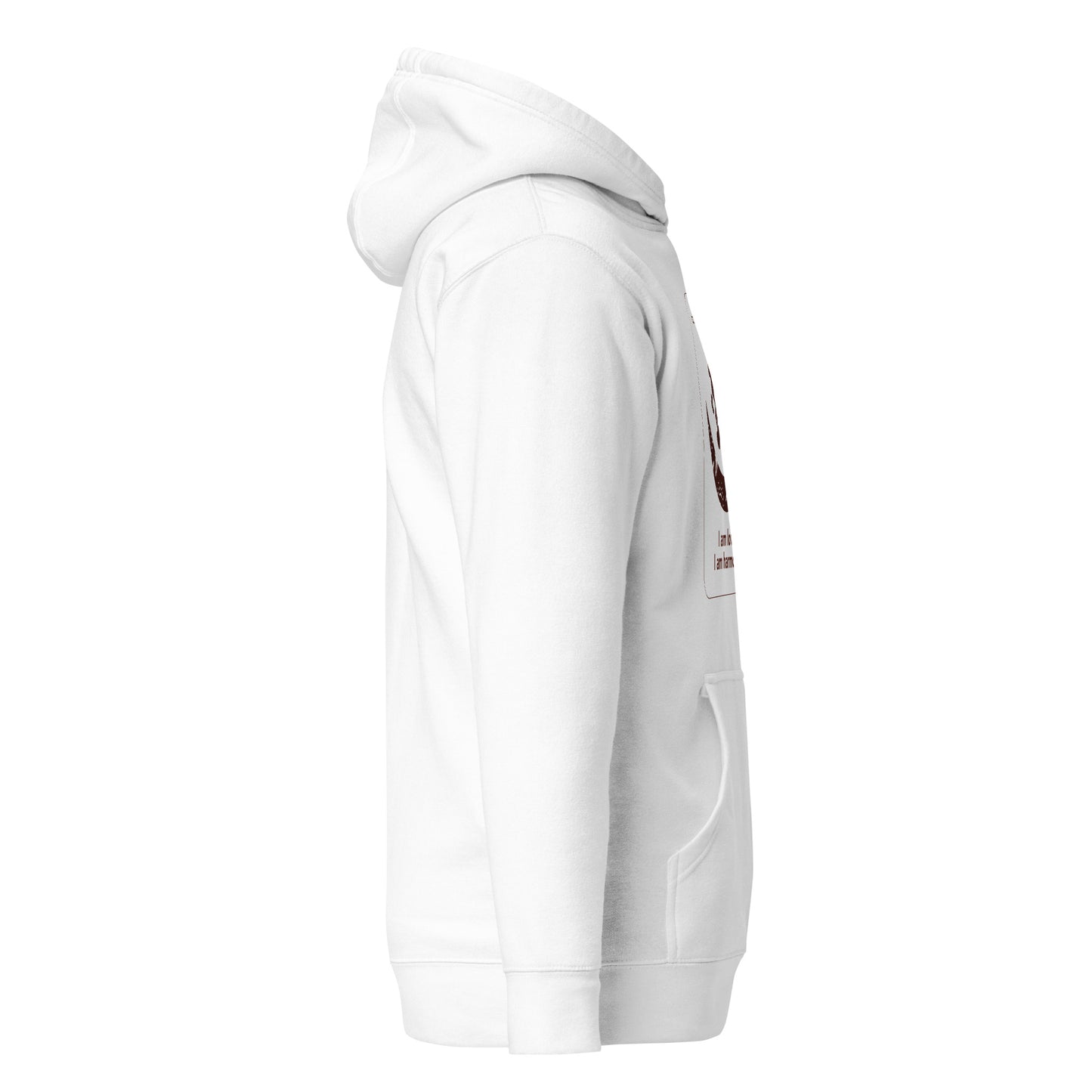 Osram ne nsronomma Hoodie - I am love.