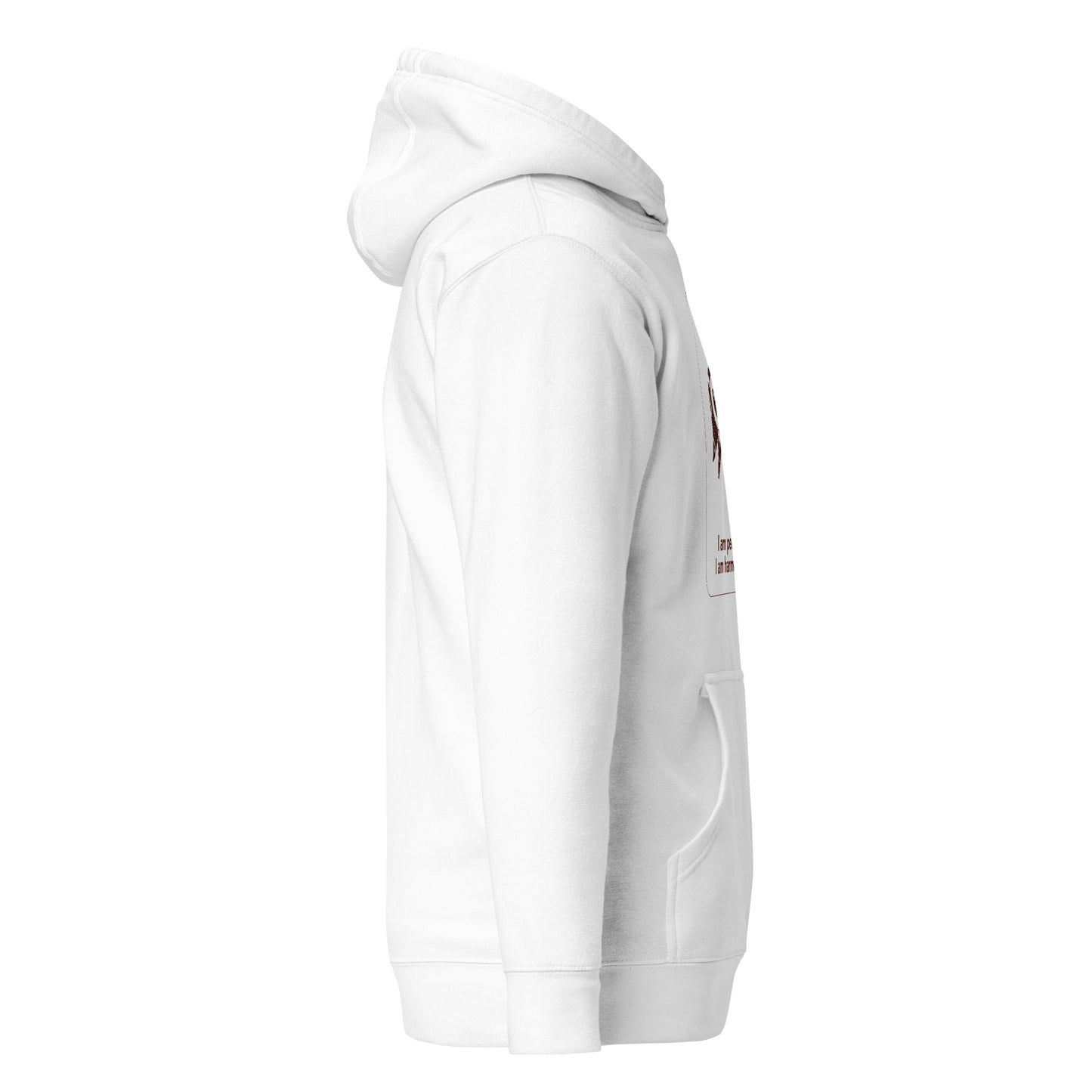 Bi nka bi Hoodie - I am harmony