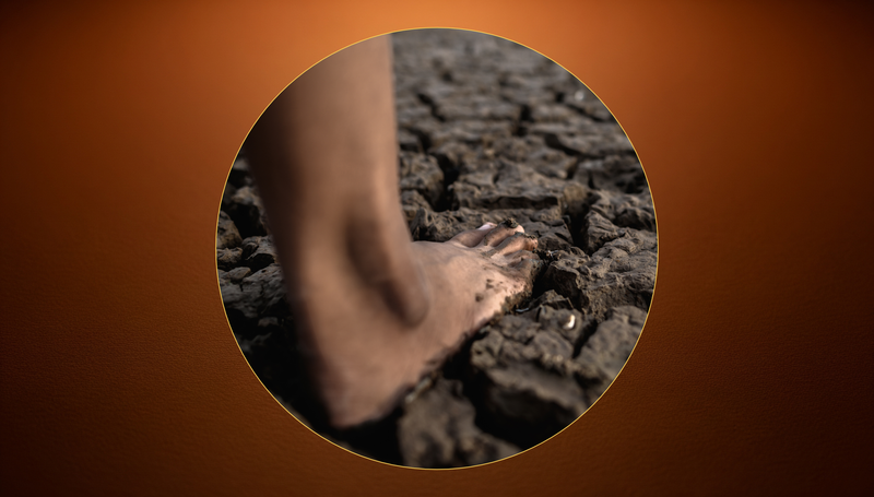 Bare feet standing on earth — representing Asase Ye Duru, the Akan teaching that the earth is not a backdrop to human life but a participant in it, heavier than all the children of the world