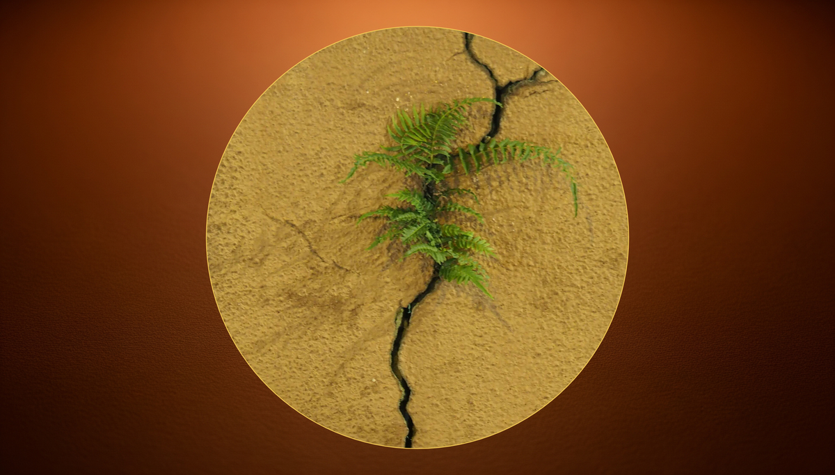 Aya Adinkra symbol — the fern, representing endurance, defiance and independence in Akan tradition