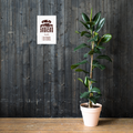Duafe Adinkra Symbol Poster